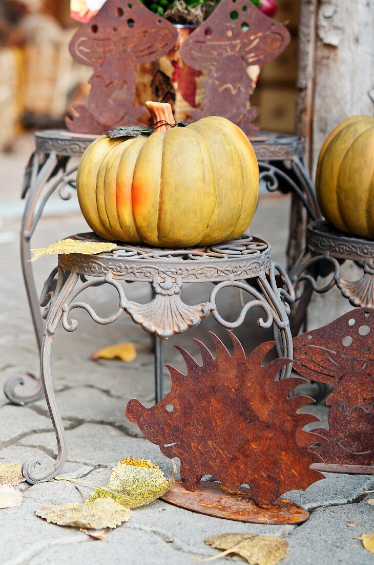 Autumnal arrangement with pumpkin in garden