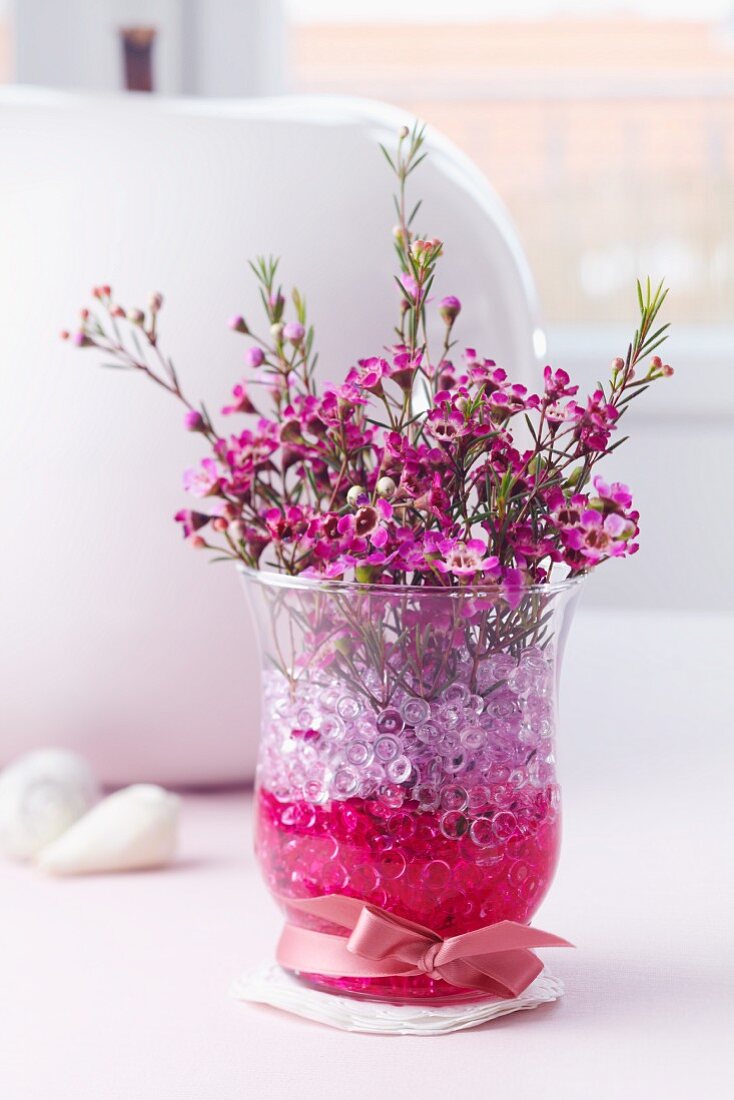 Blumenstrauß aus Waxflower (Chamelaucium uncinatum) in Glas mit Dekosteinen