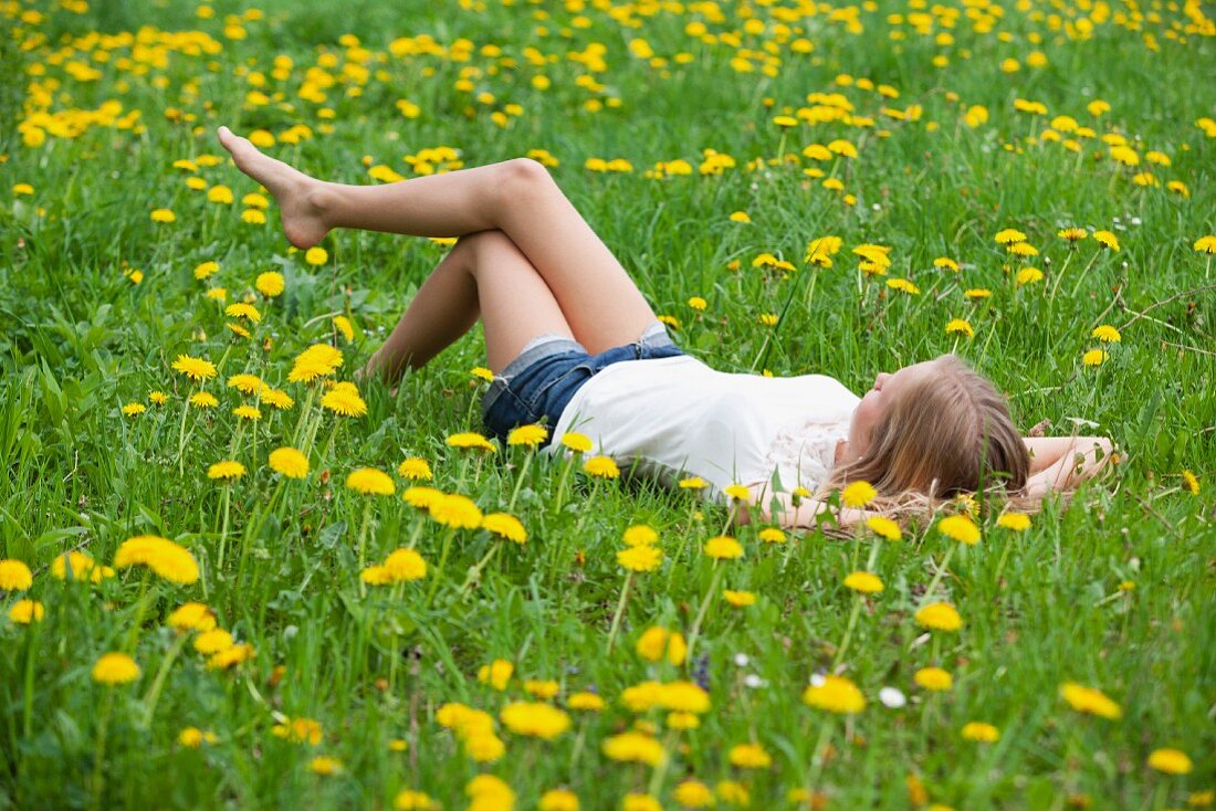 Teenager lying in field of dandelions