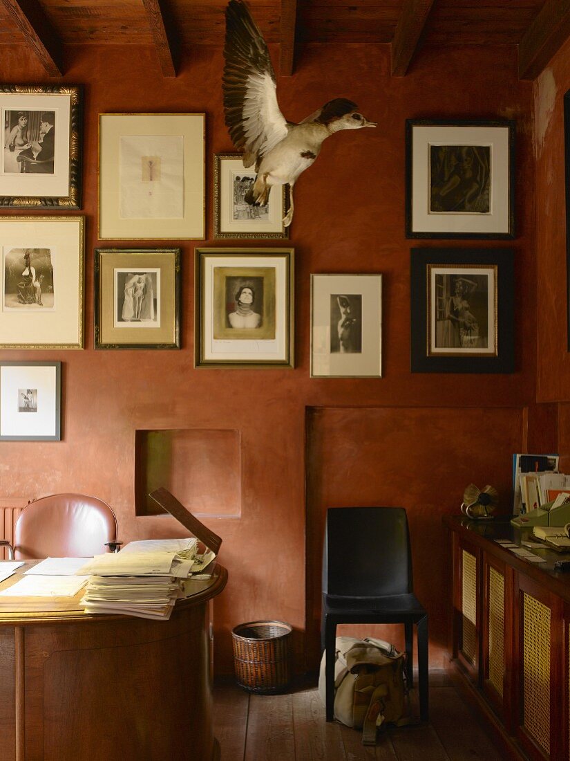 Framed photographs and stuffed bird in flight in study with walls painted red using wipe technique