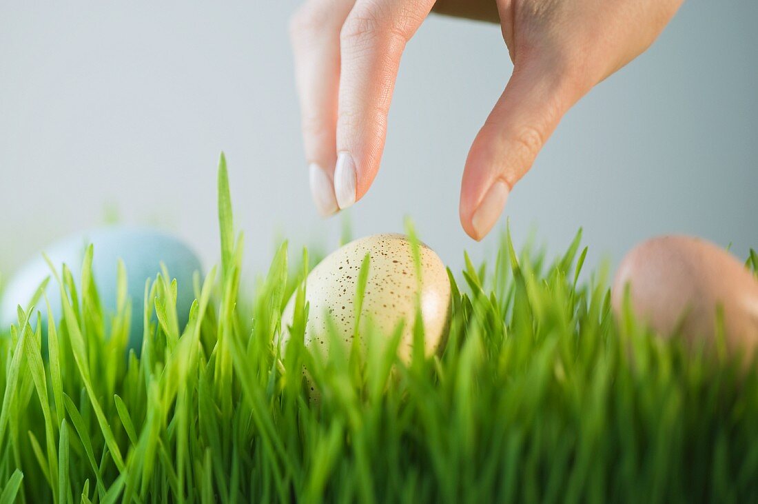 Woman reaching for decorated egg in grass