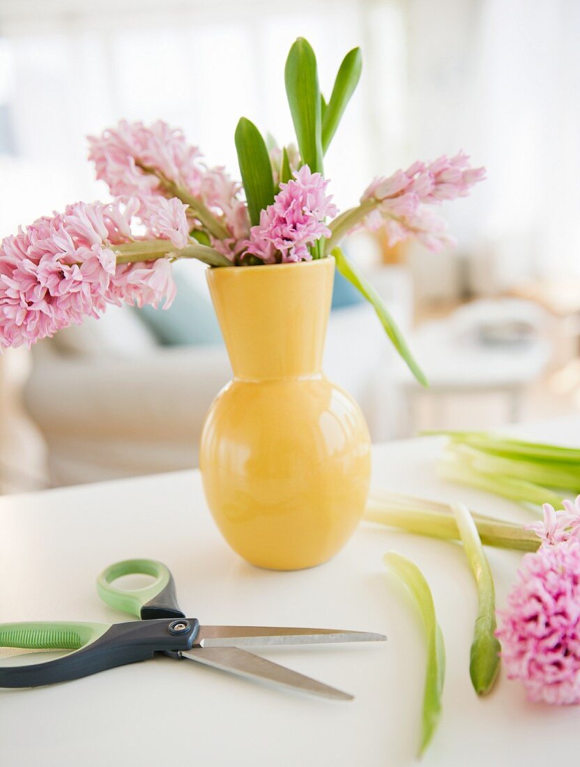 Hyacinthen in Vase arrangieren
