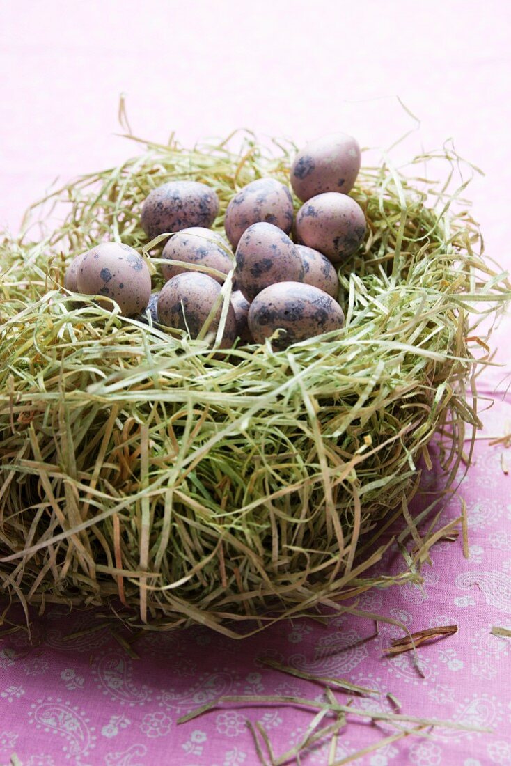 Many blown out quails egg in a nest made of hay on a table top