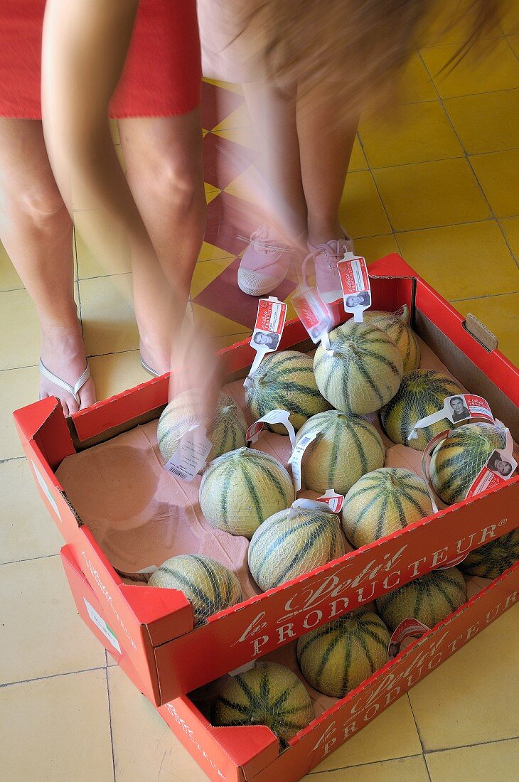 Woman next to cardboard crates of melons on yellow-tiled floor