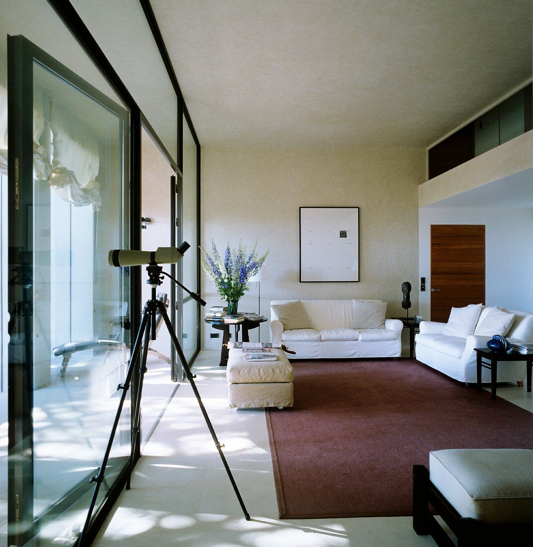 Sitzgruppe auf mattfarbigem Teppich vor Glasfront und Teleskop in puristischem Wohnraum