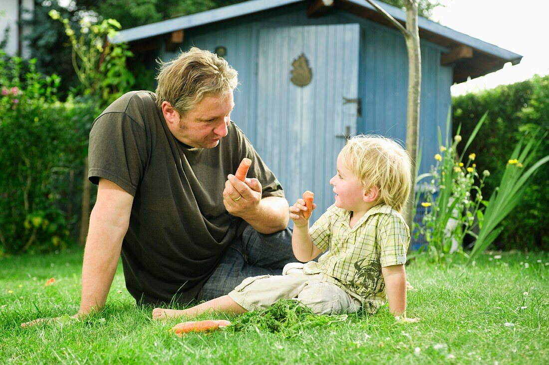 Vater und Sohn essen Karotten im Garten
