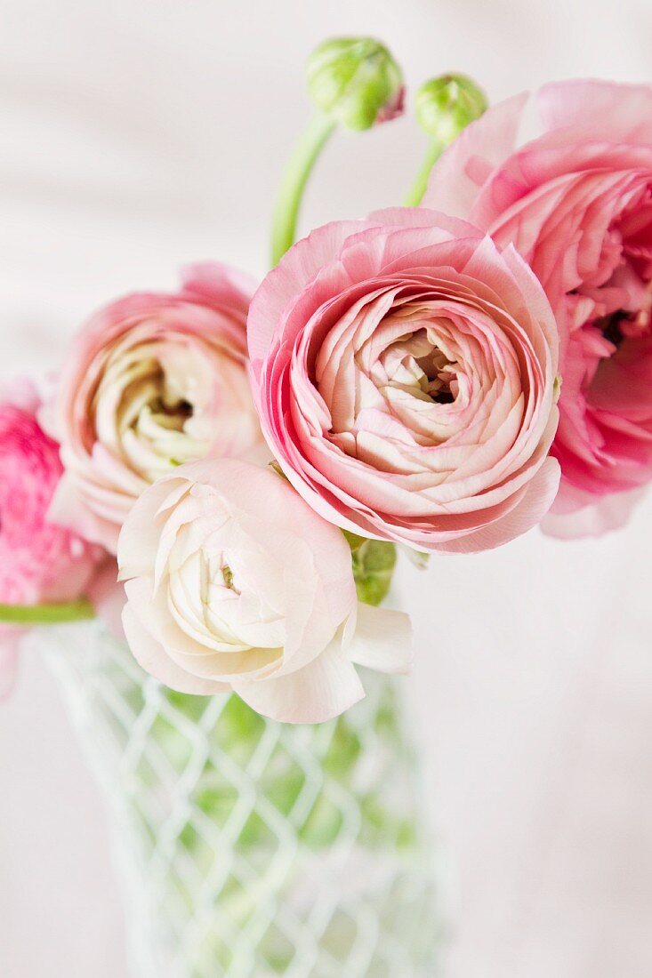 Vase of pink ranunculus bouquet