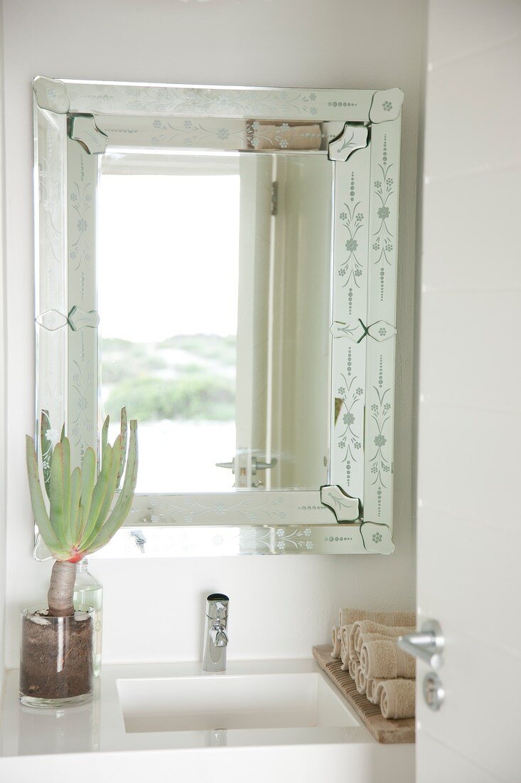 Landscape reflected in bathroom mirror; succulent in glass vase on sink surround