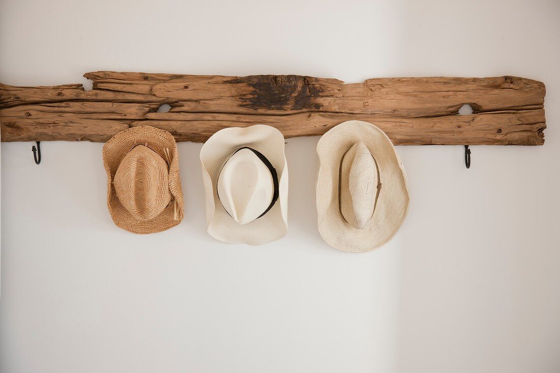 Summer hats hanging on rustic driftwood coat rack