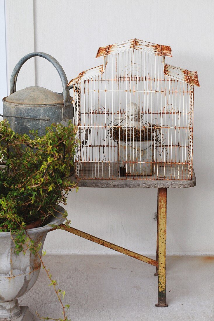 Urn in front of metal watering can and vintage birdcage on wooden bench against wall