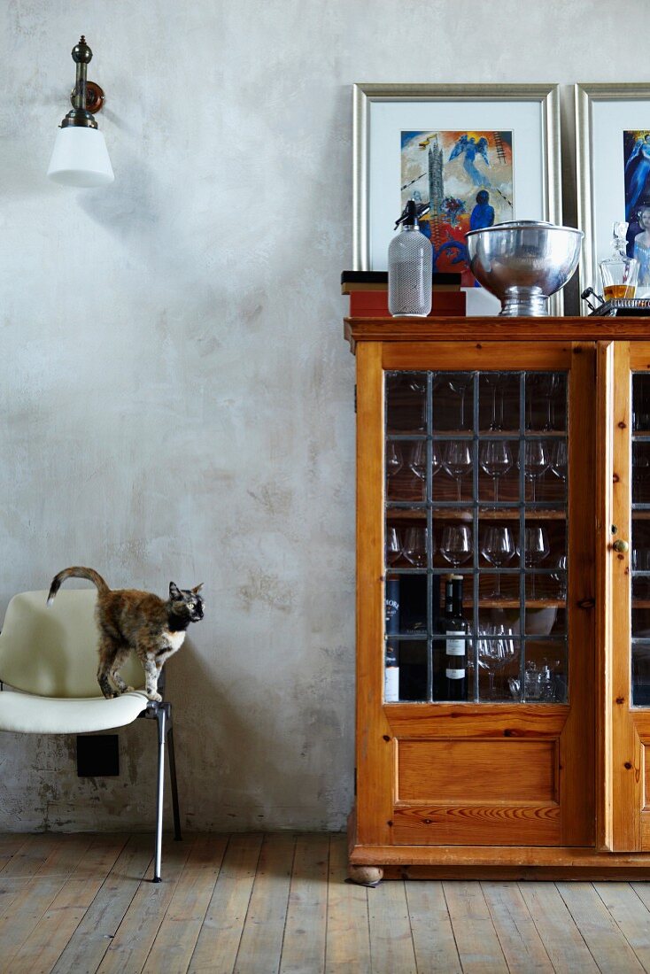 Fleckige Wand mit davorstehendem Vitrinenschrank als Bar mit Barutensilien obenauf; auf einem Stuhl eine sprungbereite Katze