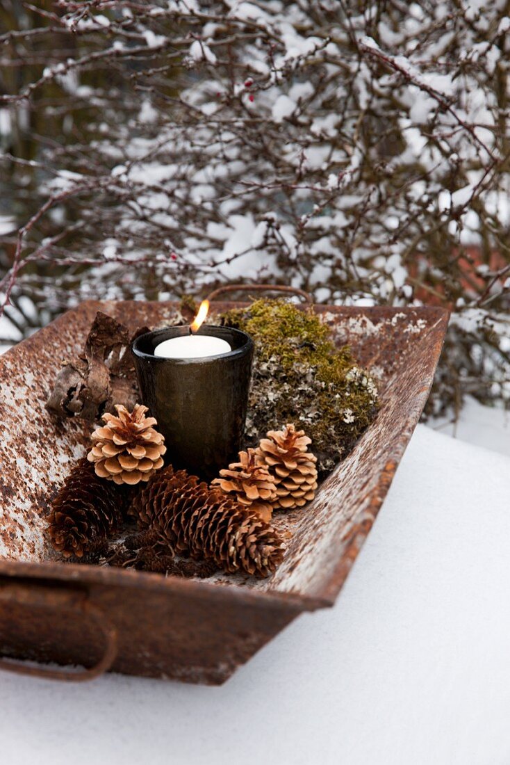Tannenzapfen, Moos, brennende Kerze in Glas in altem Metallkasten im Schnee