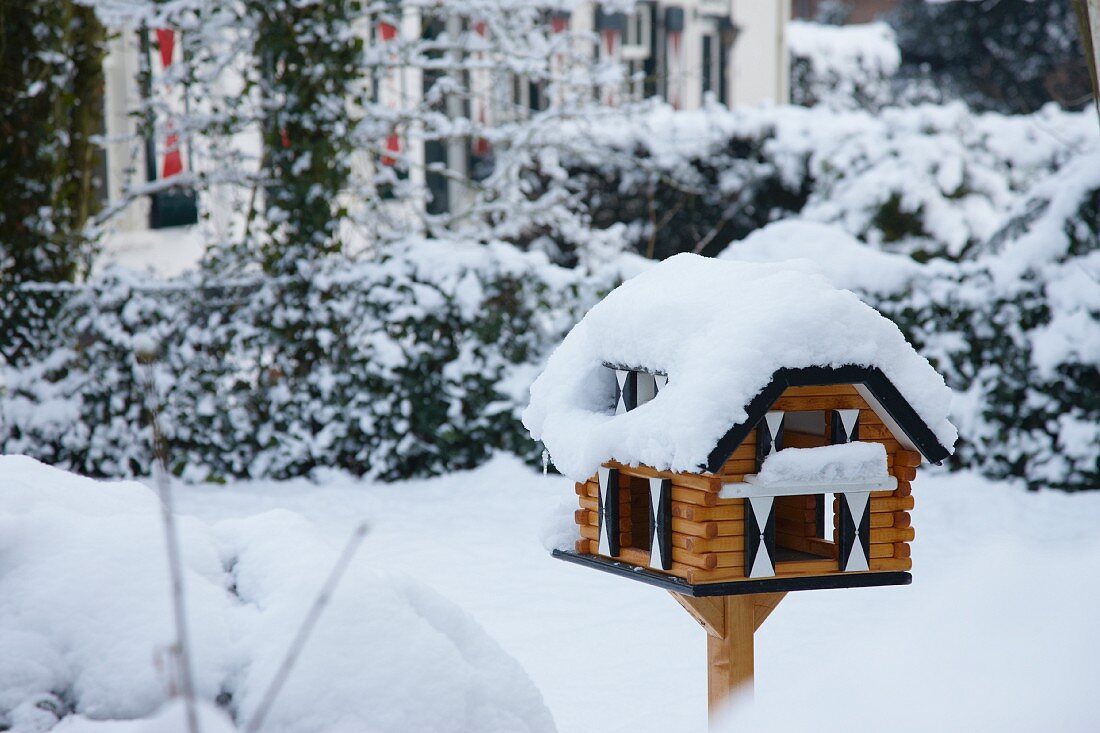 Snow-covered bird table