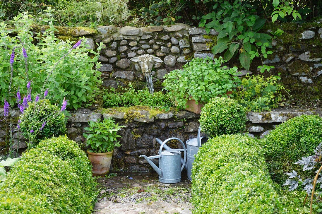 Brunnen aus Naturstein mit wasserspeiendem Schafskopf aus Stein; davor Zinkgiesskannen und formgeschnittener Buchsbaum