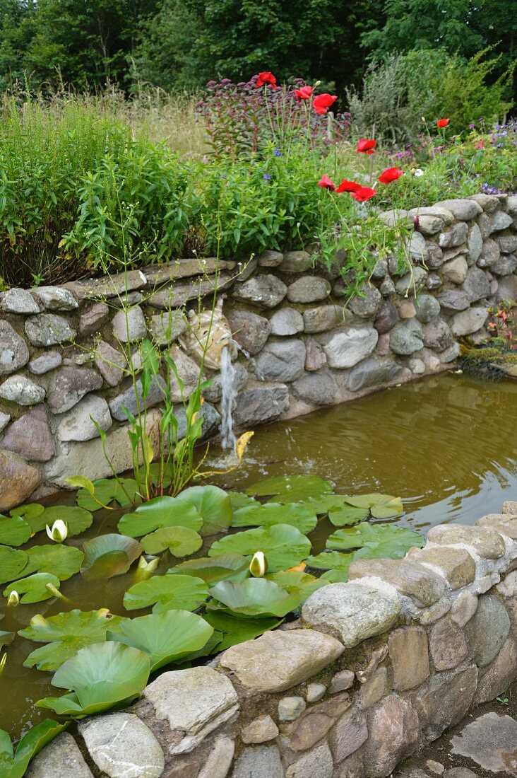 Flowering water lilies in stone-walled pool with terracotta animal head as water spout