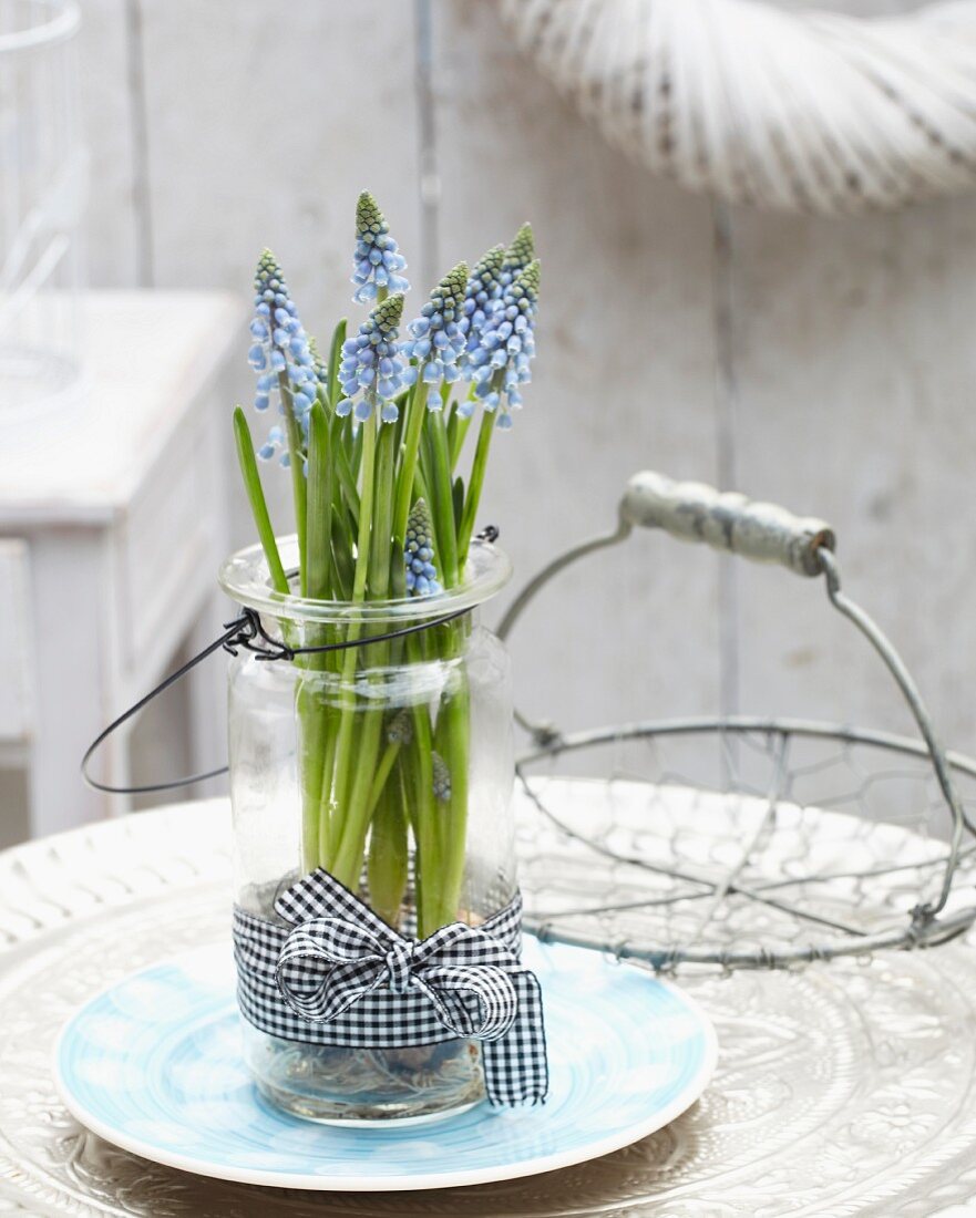 Grape hyacinths in jar with handle and gingham ribbon and wire basket on terrace table