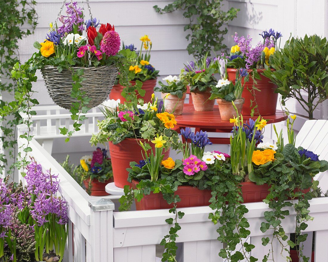 Bright spring flowers in planters and hanging basket on terrace