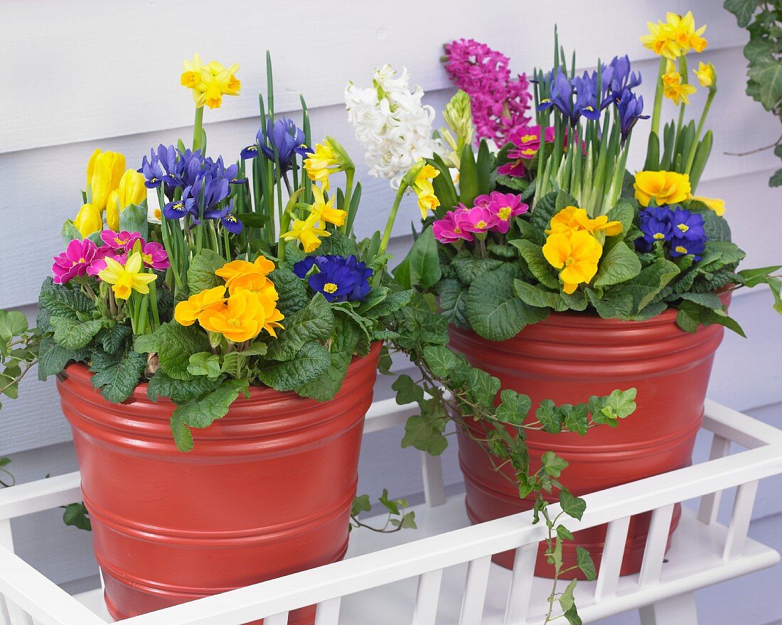 Bright spring flowers in planters on terrace