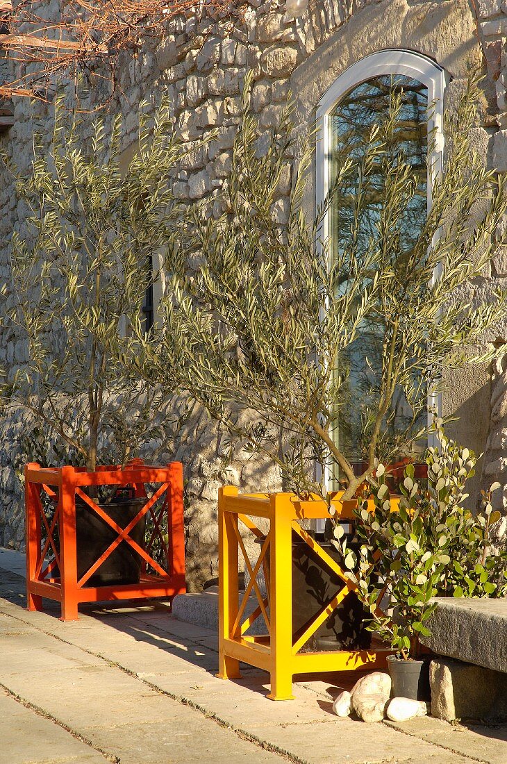 Colourful wooden frames around potted olive trees in front of stone house