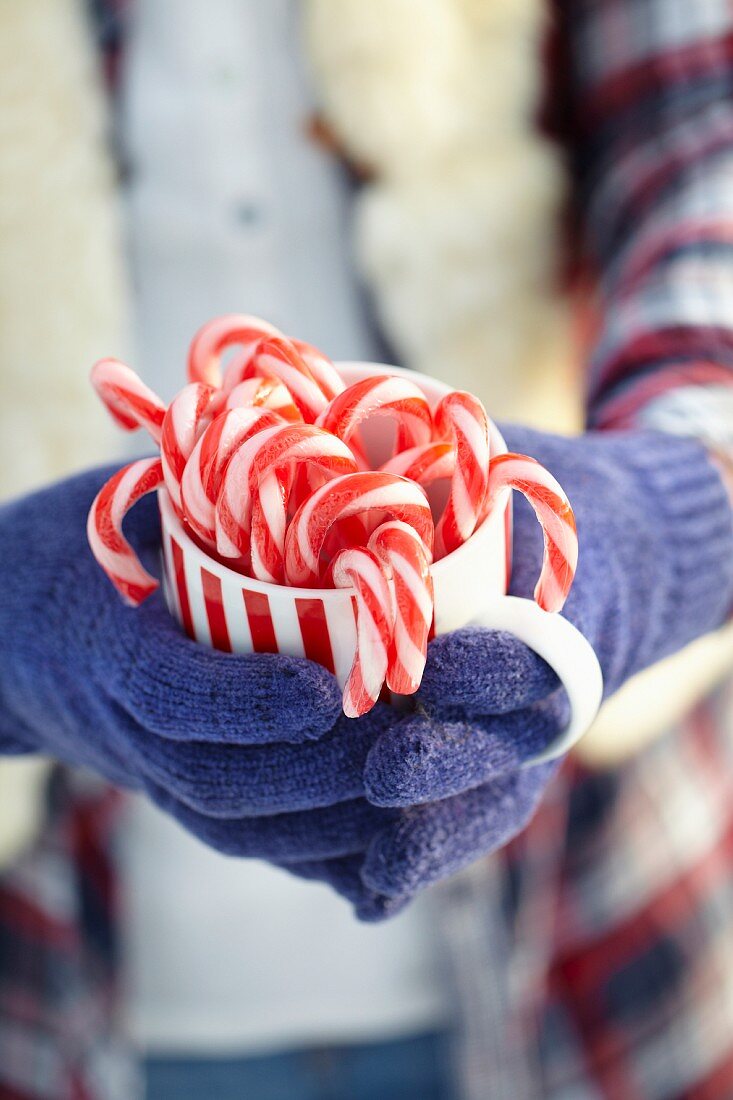 Hands holding mug of candy canes