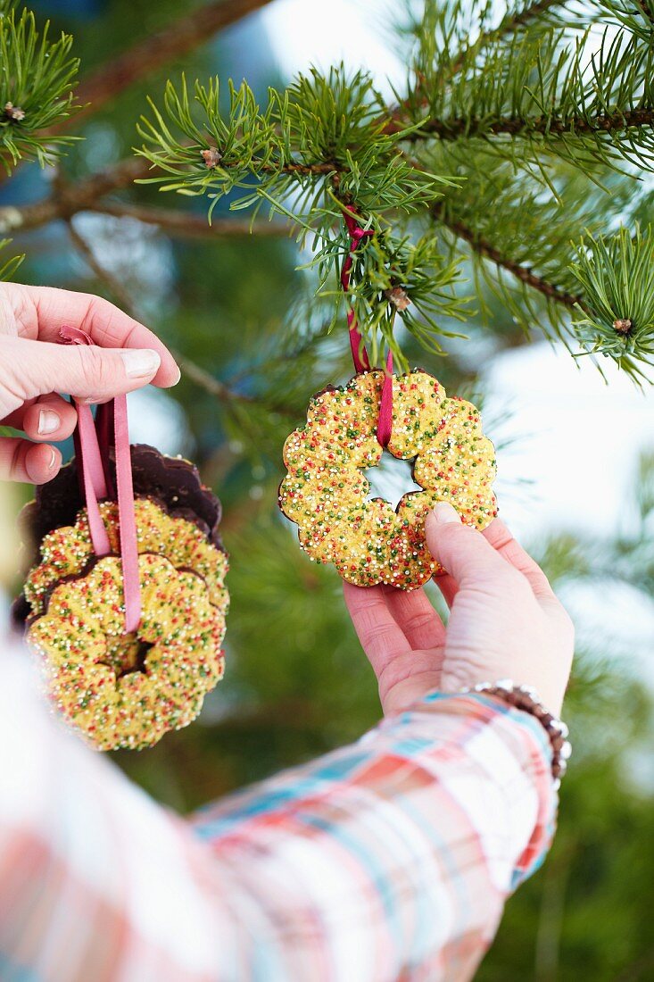 Woman hanging biscuits on a Christmas tree in the woods