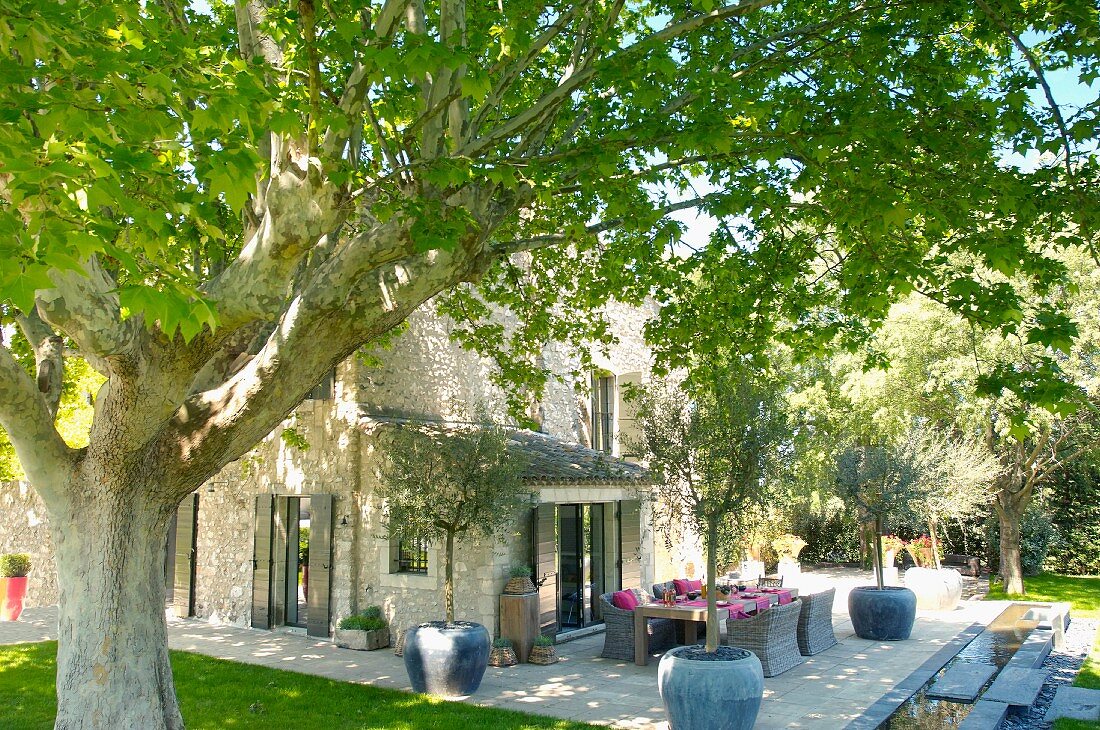 Essplatz mit Korbsesseln und Olivenbäumen in Töpfen auf grosszügiger Terrasse vor mediterranem Steinhaus