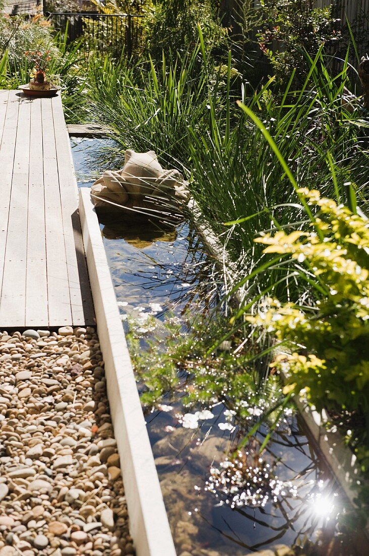 Gräser an Wasserbecken mit Betonfrosch, Holzterrasse und Kiesbett in sonnigem Garten