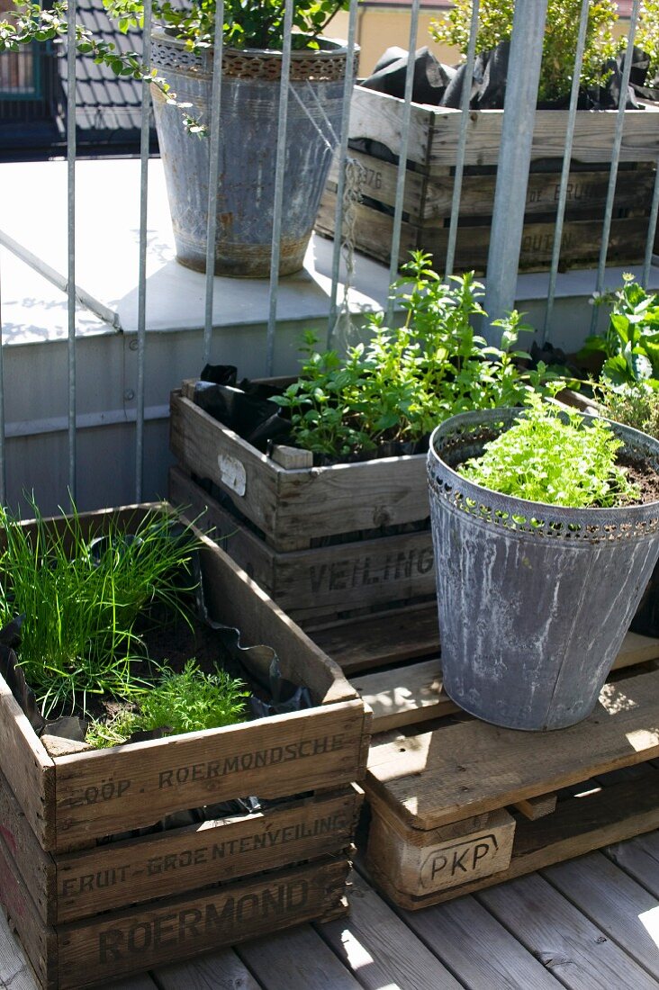 Plants in wooden crates and metal planter on roof terrace