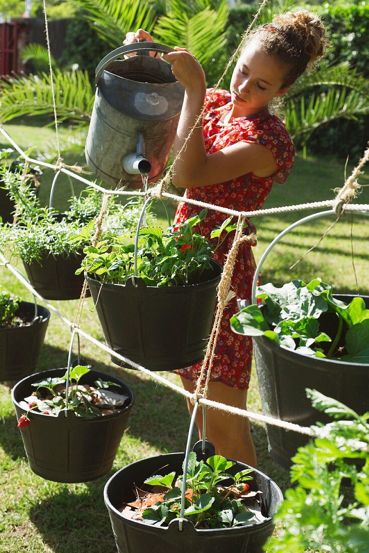 Frau giesst Pflanzen in auf Seilen hängenden Garteneimern