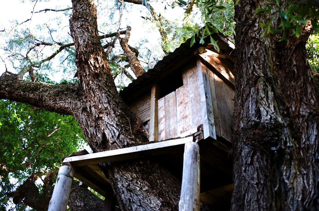 Selbstgebautes Baumhaus aus Holzbrettern zwischen Baumstämmen
