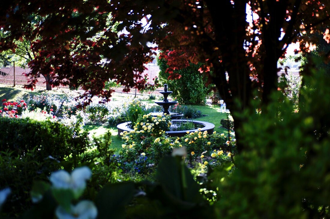 Blick über Büsche auf Springbrunnen in angelegtem Garten mit blühenden Blumen