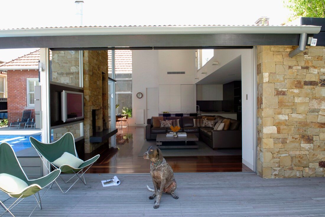 Butterfly chairs and dog on wooden terrace with view into high-ceilinged interior of contemporary house making much use of glass and stone