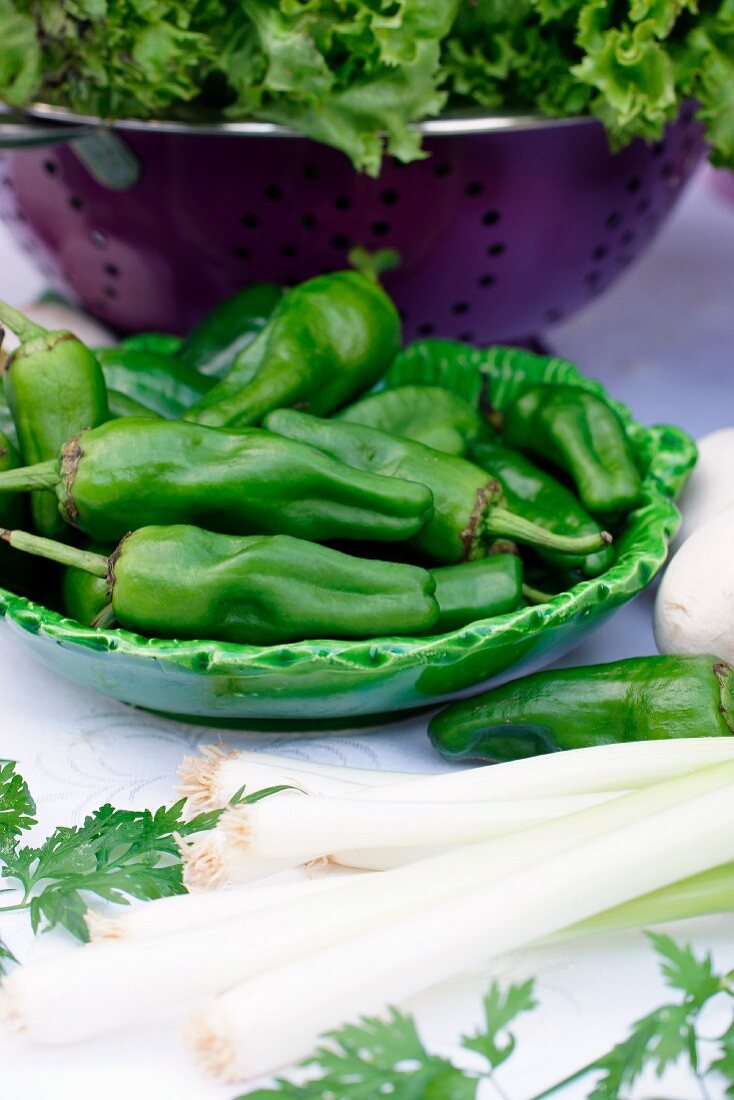 A table of vegetables with green peppers in a ceramic bowl and spring onions, in front of a bowl of salad