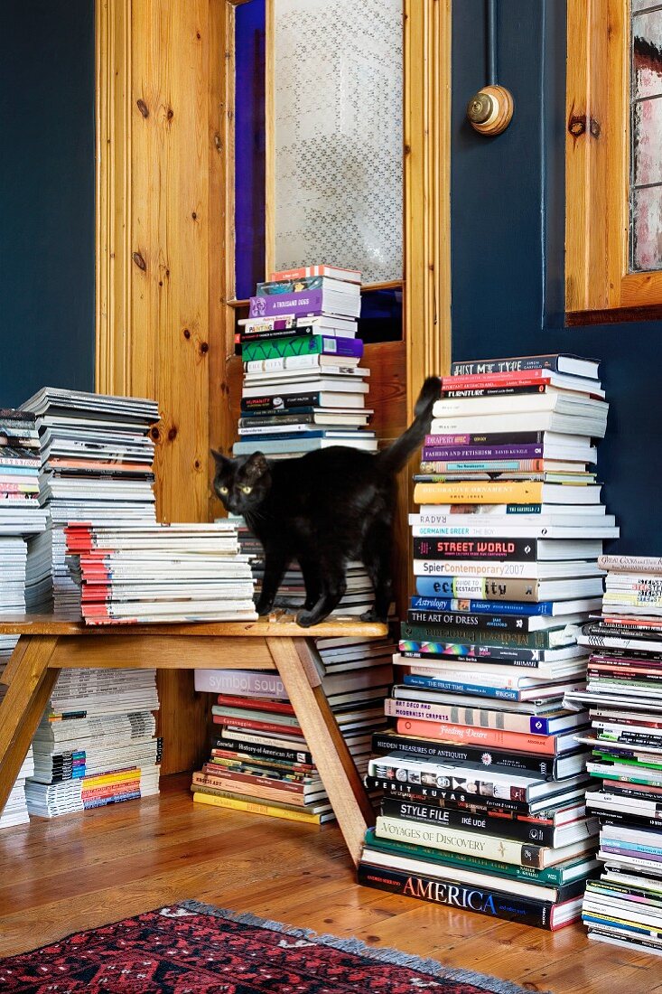 Schwarze Katze vor hohen Bücherstapeln
