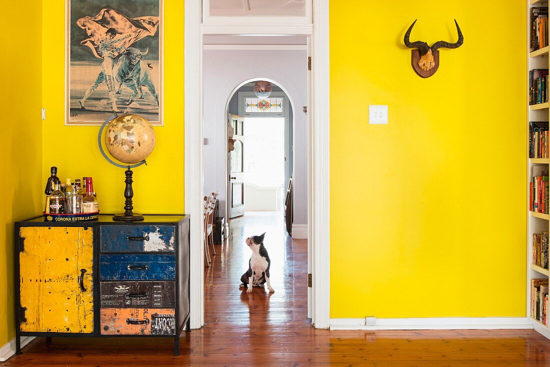 Stierkämpferbild über bunter Vintage Kommode und Tiergeweih vor gelb gestrichener Wand; Hund auf Parkettboden in Türflucht