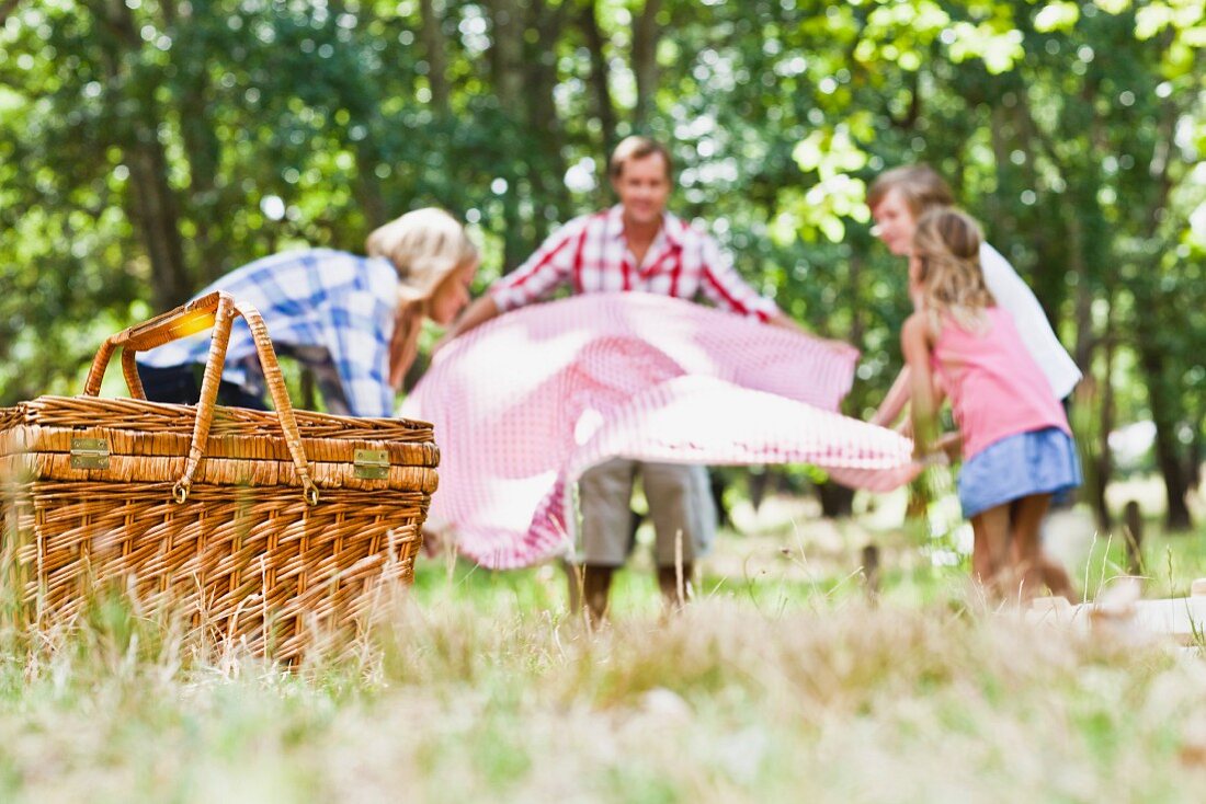 Family picnicking in a park
