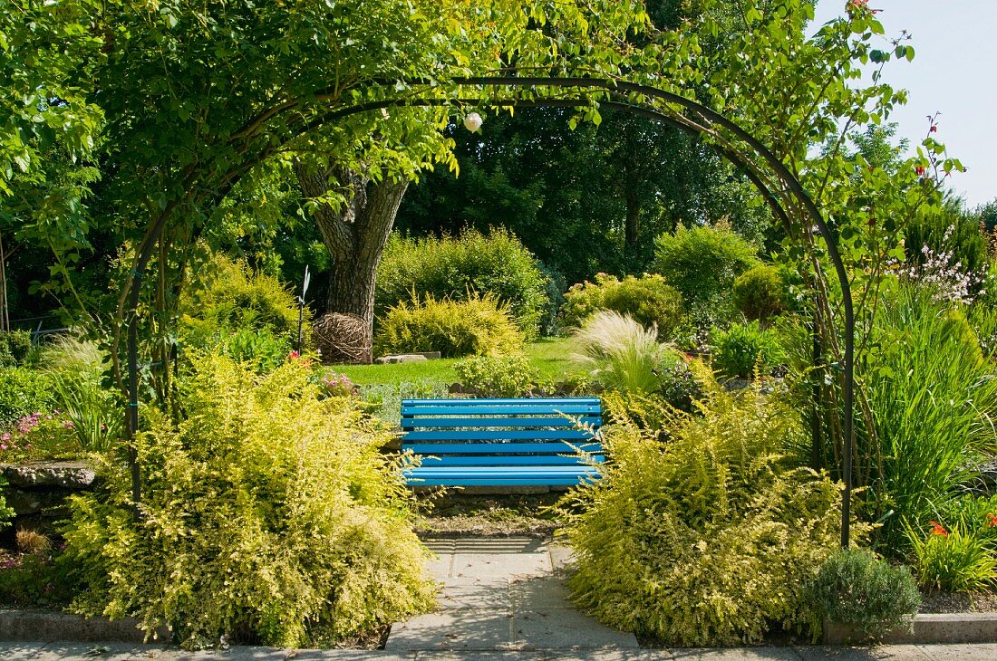 Blick durch berankten Torbogen in mediterranem Garten auf blaue Holzbank