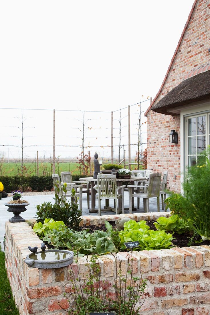 Large dining area on terrace adjoining brick house with immature espalier hedge and brick raised bed of lettuce