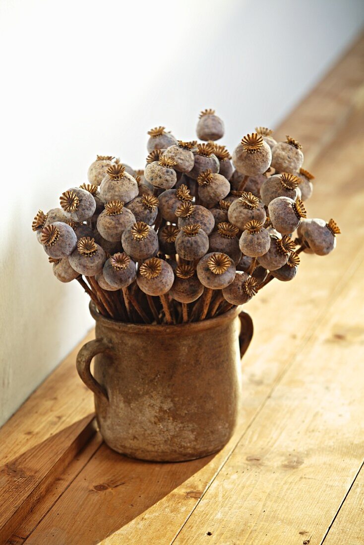 Poppy seed heads in clay vase on rustic wooden floor