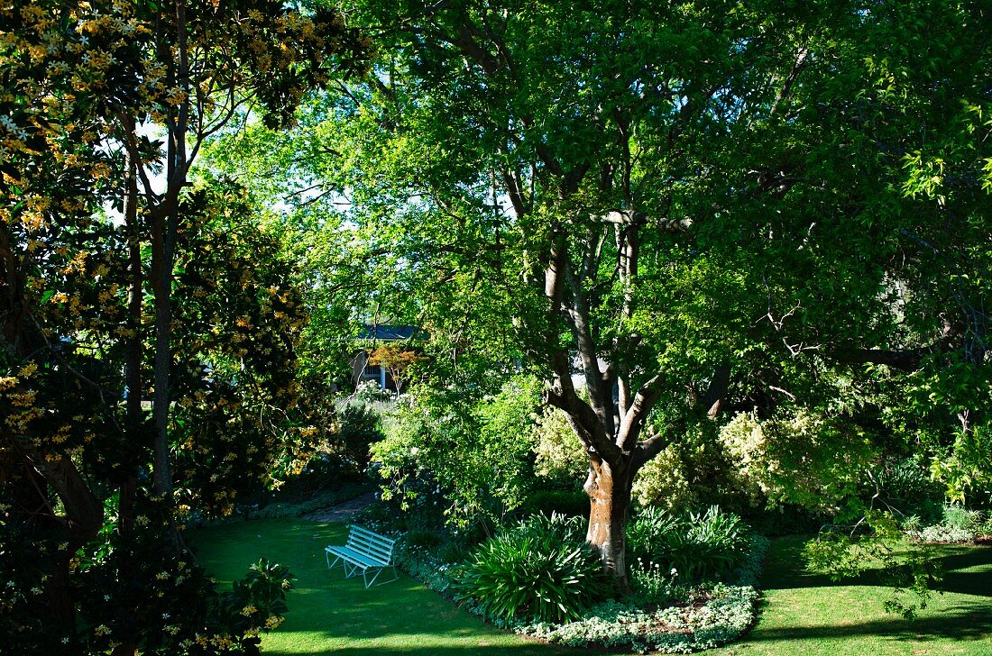 Blick von oben auf Sitzbank in parkähnlichem Garten mit hohen Bäumen