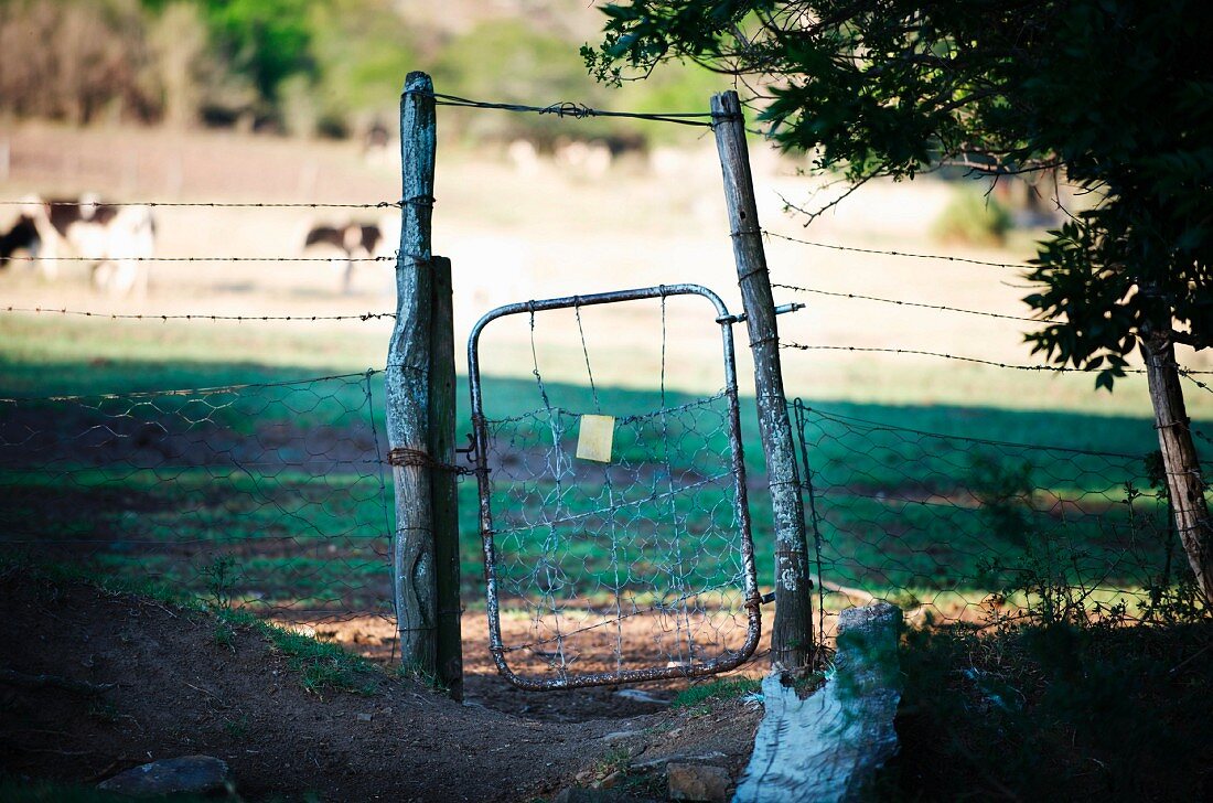 Rickety gate in wire fence surrounding cattle pasture