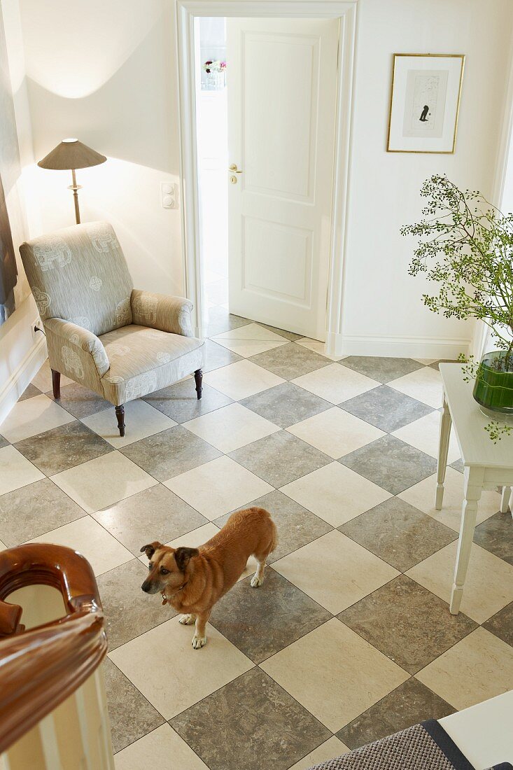 View from a staircase of a dog in an entrance hall with gray and white checkerboard stone floor and upholstered armchair with a floor lamp in a corner