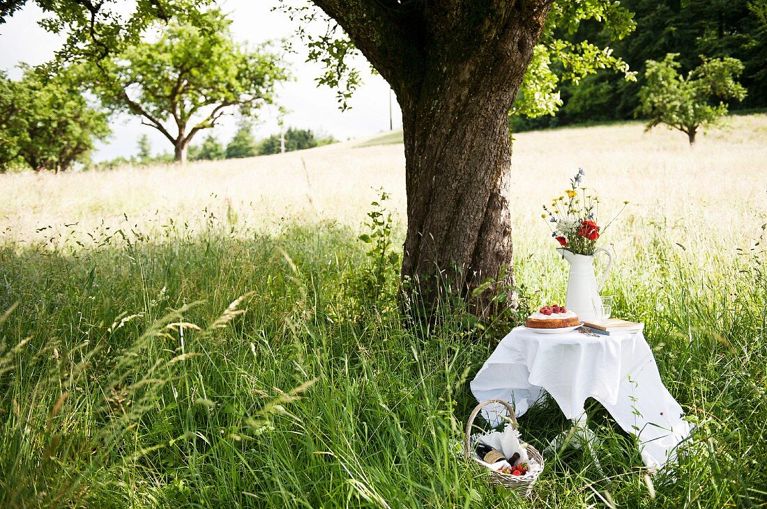 Festlicher Tisch mit Kuchen und Sommerblumenstrauss im hohen Gras