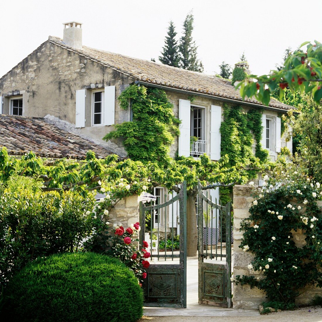 Kletterrosen auf Gartenmauer und mediterranes Landhaus mit Fensterläden