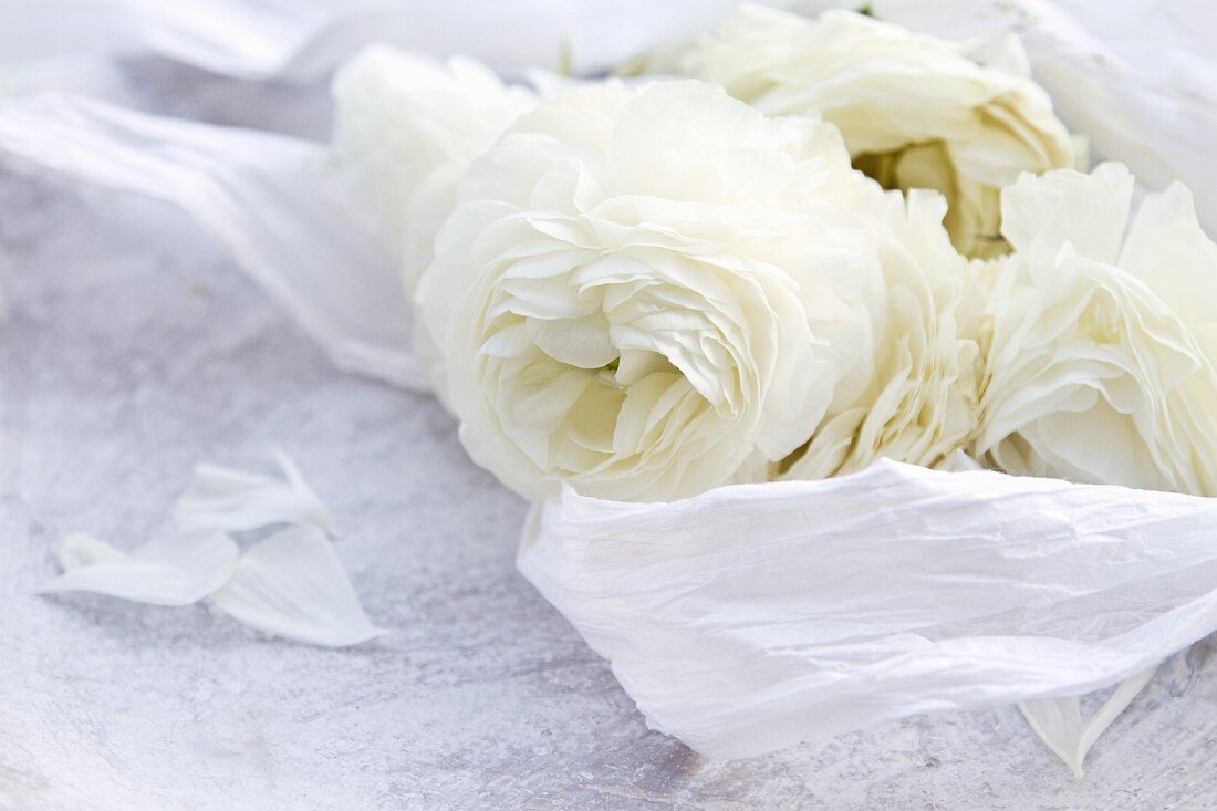weiße Rosen mit Seidenpapier auf Steinteller