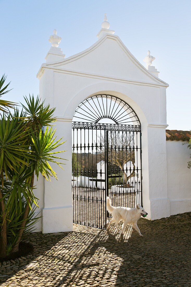 Schmiedeeisernes Tor eines gemauerten Portals; gepflasterter Innenhof mit Palme