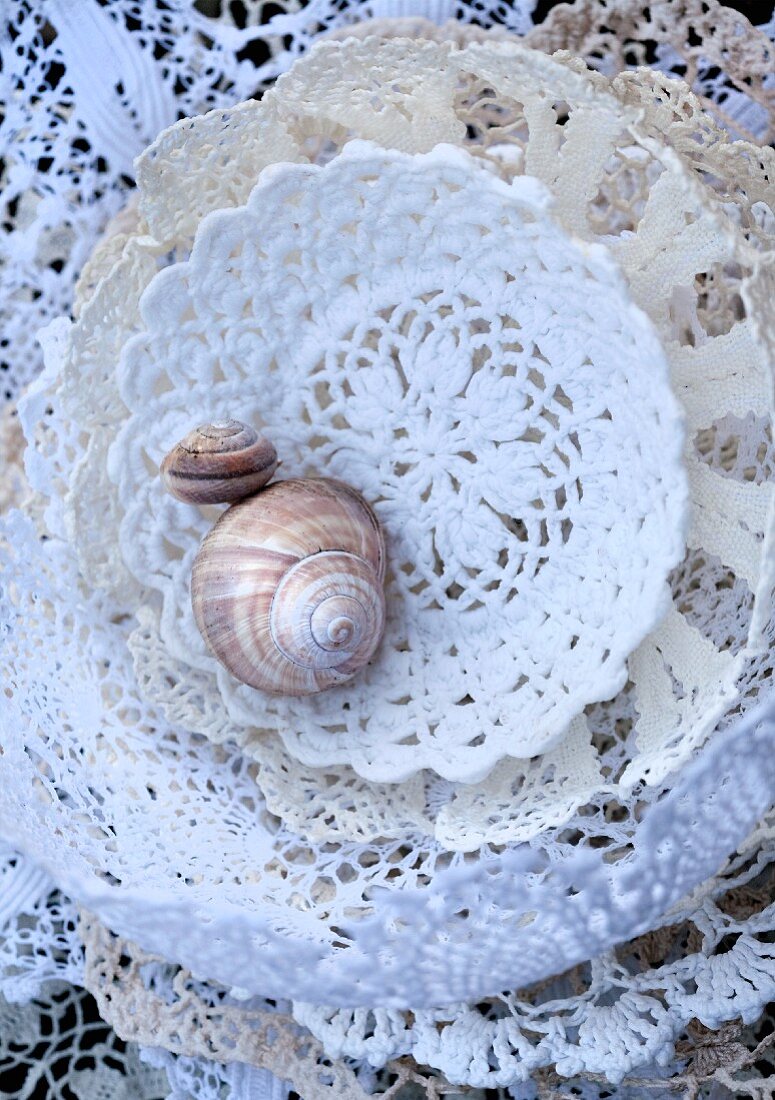 Empty snail shells in dishes made from moulded lace doilies