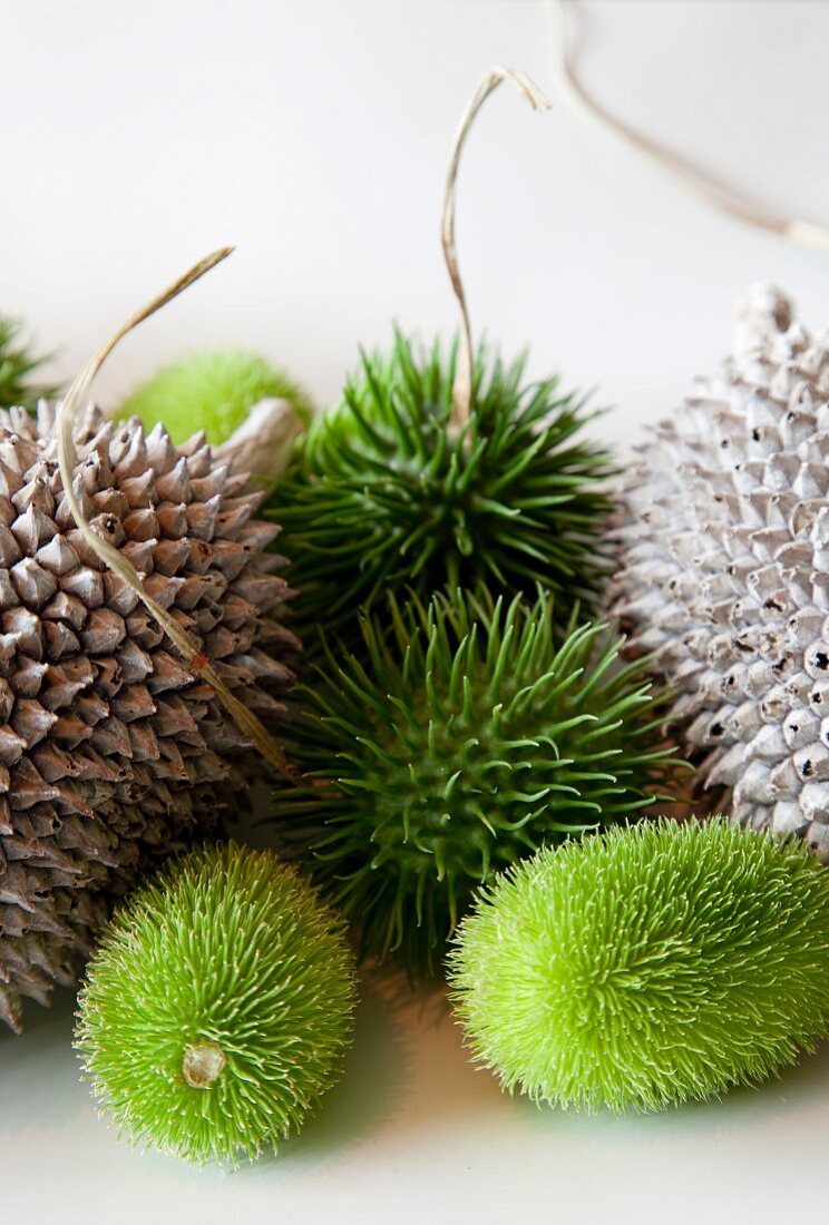 Various spiky fruits on white surface