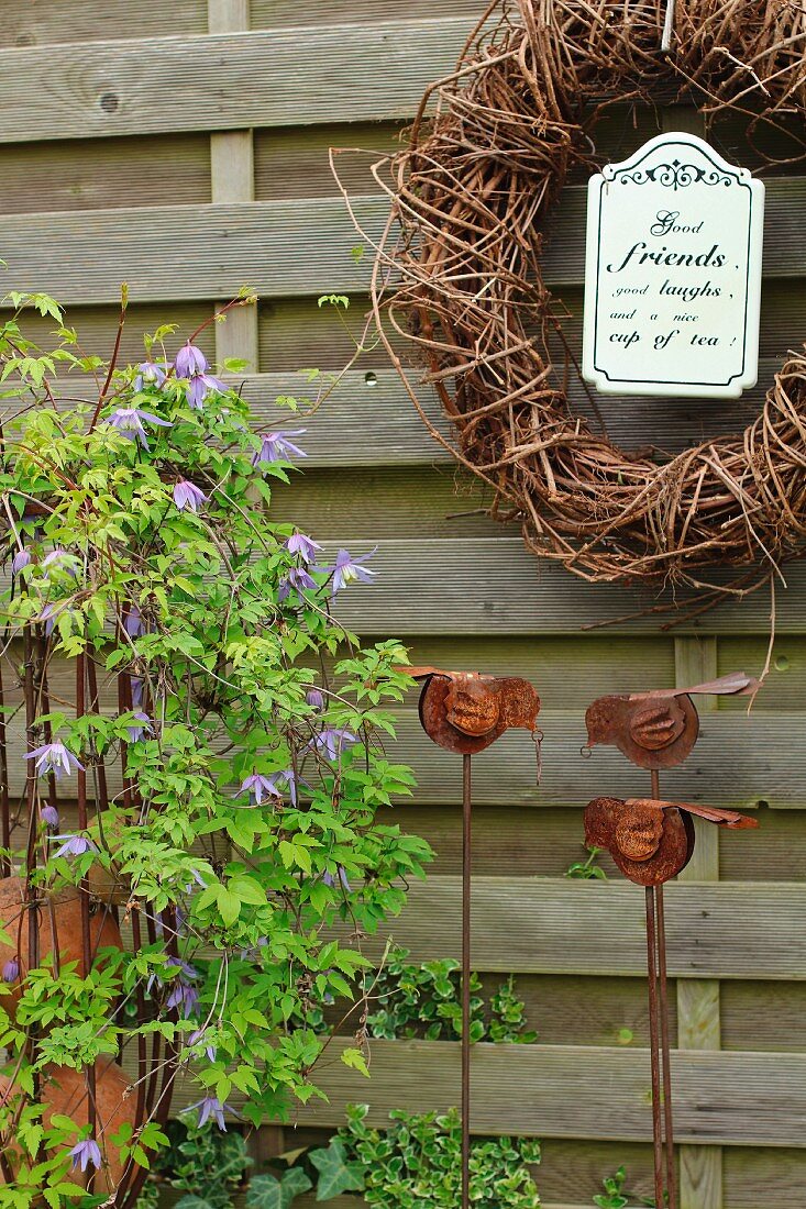 Blooming climber on a metal trellis, bird-shaped garden ornament stakes and willow wreath on a wooden fence in the garden