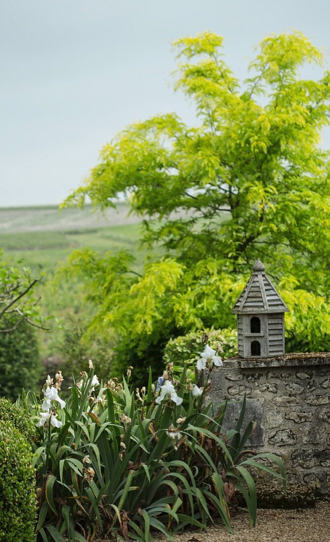 Nesting box on garden wall